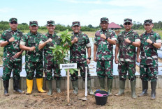Korem Gapo Hijaukan Banyuasin dengan Ratusan Bibit Pohon Buah, Ini Tujuannya