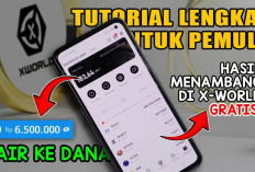 Selain DANA Kaget, Ini Cara Pasti Dapat Saldo DANA Gratis Tiap Hari dengan Fitur Daily Rewards!