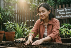 Jangan Terpuruk Terlalu Lama! Rahasia Memulai Hidup Setelah Patah Hati Agar Kamu Bisa Move On dan Grow Up