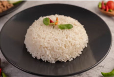 Stop Buang Nasi, 5 Manfaat Makan Nasi Dingin dan Cara Menyimpannya Agar Tak Cepat Basi