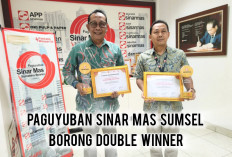 Paguyuban Sinar Mas Sumsel Borong 2 Juara di Liga Paguyuban Sinar Mas 2025, Bukti Soliditas di Bumi Sriwijaya