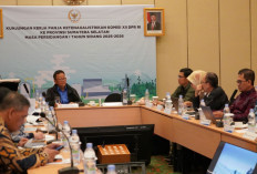 PLN Perkuat Sinergi Bersama DPR RI dan Kementerian ESDM, Komitmen Transisi Energi dan Elektrifikasi