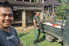 GERCEP! Anggota Kodim 0405 Lahat Mulai Turunkan Bahan Material Bangunan TMMD ke 128