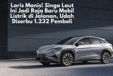 BYD Sealion 7 Laris Manis! Singa Laut Ini Jadi Raja Baru Mobil Listrik di Jalanan, Udah Diserbu 1.232 Pembeli