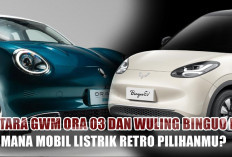 Antara GWM Ora 03 dan Wuling Binguo EV, Mana Mobil Listrik Retro Pilihanmu?