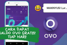 4 Game Penghasil Saldo OVO, Hiburan yang Menghasilkan Cuan