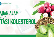 Aman Dikonsumsi! 5 Obat Kolesterol Alami Lebih Efektif, Bisa Dicoba