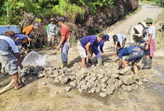GERCEP, Pemdes Lubuk Selo Lahat Dibantu Warga Perbaiki Akses Jembatan Ayek Gambir