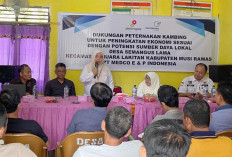 Medco E&P Bina Usaha Budidaya Peternakan Kambing di Desa Semangus Lama, Kades: Bantu Kembangkan Usaha