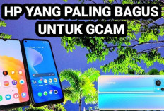 Hasil Foto Auto DSLR! 5 Rekomendasi HP dengan Fitur GCam Terbaik, Bikin Foto Lebih Tajam dan Detail