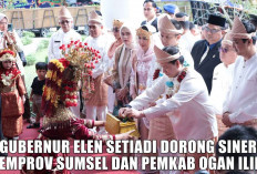 Pj Gubernur Elen Setiadi Dorong Sinergi yang Kuat Antara Pemprov Sumsel dan Pemkab Ogan Illir