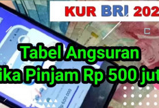 BRI 2024 Agustus Lengkap Mulai Rp 500 Juta, Cek Syarat dan Jenisnya Disini