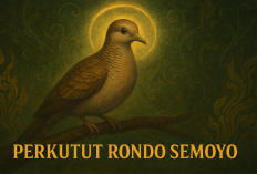 Misteri Perkutut Rondo Semoyo, Burung Katuranggan yang Konon Pembawa Hoki