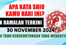 Apa Kata Shio Kamu Hari Ini? Cek Ramalan Terkini 30 November 2024 dan Cari Tahu Keberuntungan yang Menantimu