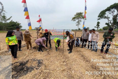 Tanam Jagung di Lahan dengan Status Pinjam Pakai, Polsek Pemulutan Dukungan Program Ketahanan Pangan