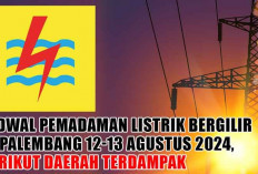 Jadwal Pemadaman Listrik Bergilir di Palembang Hari Ini, 12-13 Agustus 2024, Berikut Daerah Terdampak