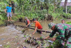 Antisipasi Banjir dan Wabah Pennyakit, Kodim 0423/BU Gotong Royong Bersihkan Lingkungan
