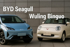 BYD Seagull vs Wuling Binguo, Duel Mobil Listrik Mungil Bergaya Futuristik dan Retro, Siapa Juaranya?