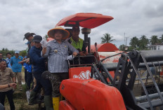 Wabup Lahat: Aktifkan 22.000 Ha Areal Sawah Ciptakan Potensi Kawasan Lumbung Pangan