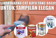 Pilihan Warna Cat Kayu yang Bagus untuk Tampilan Elegan