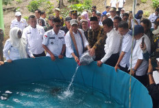 Bupati Lahat Kunker ke Kawasan Terpadu Kebun Buah Cuko Simpou Lesung Batu, Ini Kegiatannya
