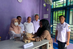 Tahun 2024, Tercatat 2 Warga Lahat Meninggal Akibat Rabies, Ini Penjelasan Dinkes