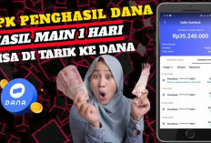 Peluang Cuan di Akhir Tahun! 5 Aplikasi Penghasil Saldo DANA Terbaik 2024 yang Bisa Jadi Sumber Uang Tambahan