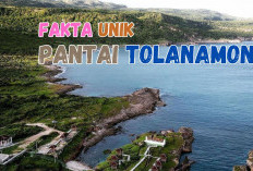 Fakta Unik Pantai Tolanamon di Selatan Indonesia, Objek Wisata yang Baru Ditemukan Warga Lokal NTT