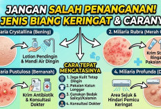 Jangan Salah Penanganan! Kenali 4 Jenis Biang Keringat pada Kulit dan Cara Tepat Mengatasinya