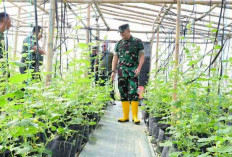 Agrowisata Tekno 44, Wujudkan TNI AD di Wilayah Kodam II/Swj Bersama Dengan Rakyat Bersatu Untuk NKRI