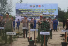 Ini Komitmen Kodim Bangka Dalam Wujudkan Ekosistem Hijau