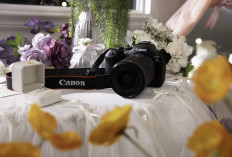 Canon EOS R6 Mark III Resmi Hadir! Kamera Multiformat dengan Open Gate 7K untuk Kreator Profesional