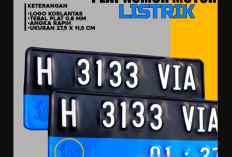 Mengapa Plat Mobil Listrik di Indonesia Ada Garis Biru? Ternyata Ini Alasannya