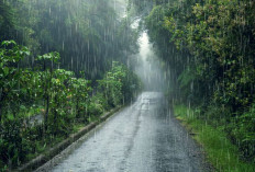 Prakiraan Cuaca di Sumsel Hari Ini Sabtu 20 April 2024, Siang Hingga Malam Hari Berpotensi Hujan 