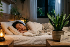 JANGAN SEPELEKAN! 5 Tanaman Hias Ini Diam-Diam Bisa Bikin Tidur Kamu Jauh Lebih Nyenyak, Nomor 2 Bikin Kaget!