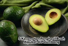5 Kecamatan Penghasil Buah Alpukat di Palembang, Produksinya Kian Menipis tapi Manfaatnya Tetap Melimpah