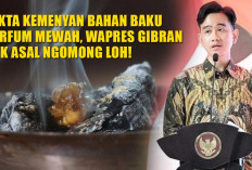 Fakta Kemenyan Bahan Baku Parfum Mewah, Wapres Gibran Gak Asal Ngomong Loh!