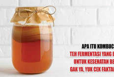 Apa Itu Kombucha? Teh Fermentasi yang Baik untuk Kesehatan Bener Gak Ya, Yuk Cek Faktanya!