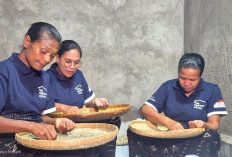 Perkuat Kemandirian Ekonomi Desa, Begini Ketegasan Presiden Direktur Astra