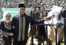 Ini Lokasi Kegiatan Qurban Dilakukan Korem Gapo