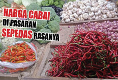 Harga Cabai di Pasaran Sepedas Rasanya, Selidik Punya Selidik Ternyata Ini Penyebabnya