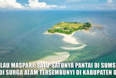 Pulau Maspari: Satu-Satunya Pantai di Sumatera Selatan, Jadi Surga Alam Tersembunyi di Kabupaten OKI