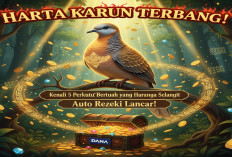 HARTA KARUN TERBANG! Kenali 5 Perkutut Bertuah yang Harganya Selangit, Auto Rezeki Lancar