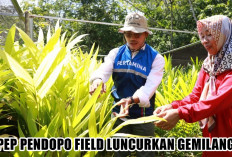 GEMILANG PLUS, Inovasi Desa yang Satukan Kearifan Lokal dan Sains Modern, Bikin Desa Sukakarya Mampu Bertahan