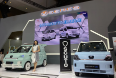 6 Rekomendasi Mobil Listrik Keluarga Murah Meriah Juni 2025, Harga Mulai Rp100 Jutaan