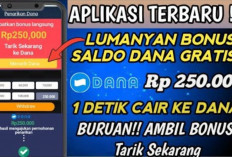 Langsung Masuk, Saldo DANA Rp250.000 Dari Aplikasi Penghasil Uang Ini, Cek Sekarang Untuk Mendapatkannya!