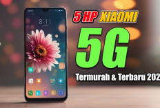 5 Pilihan Smartphone Xiaomi 5G Unggulan Tahun 2024, Cocok Buat Fotografi Hingga Gamers