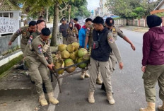 Satpol PP Tertibkan PKL di Terminal Nendagung, Jadi Penyebab Kemacetan