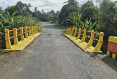 DPUBM Mura Renovasi dan Cat Ulang Jembatan, Tingkatkan Kenyamanan Pengendara