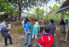 Kado Ramadan! PLN Nyalakan Listrik Gratis untuk Warga Kepahiang Lewat Program BPBL